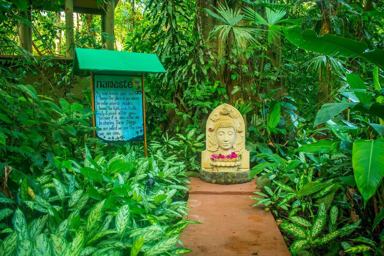 The Goddess Garden Eco-Resort Cahuita Eksteriør billede
